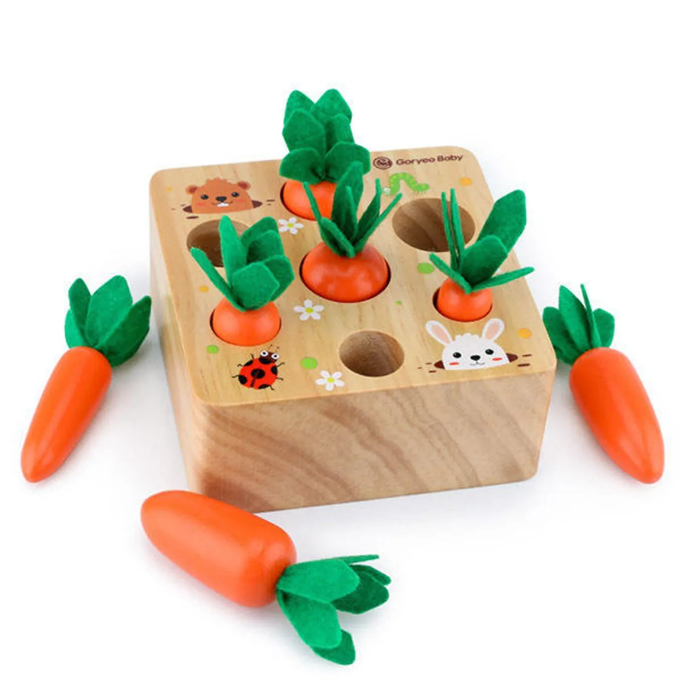 Carrot-Montessori
