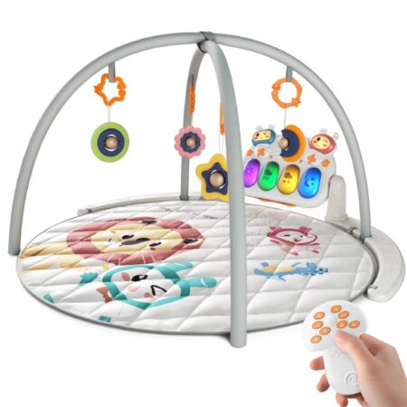 Circular Playmat Activity Gym + Li Battery